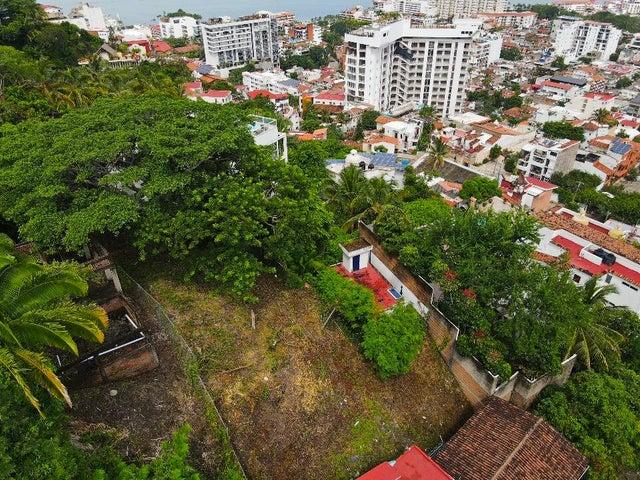 SN lote 2 Andador Aguacate, Aguacate lot — foto 2
