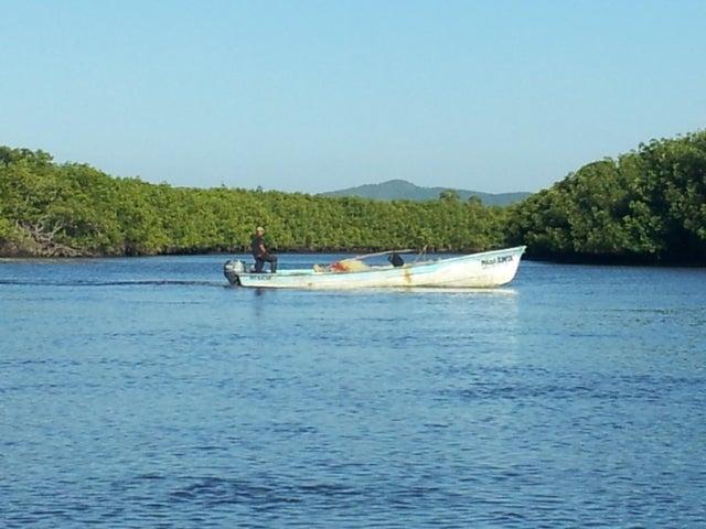 SN Isla del Rey, Lote Isla del Rey — foto 3