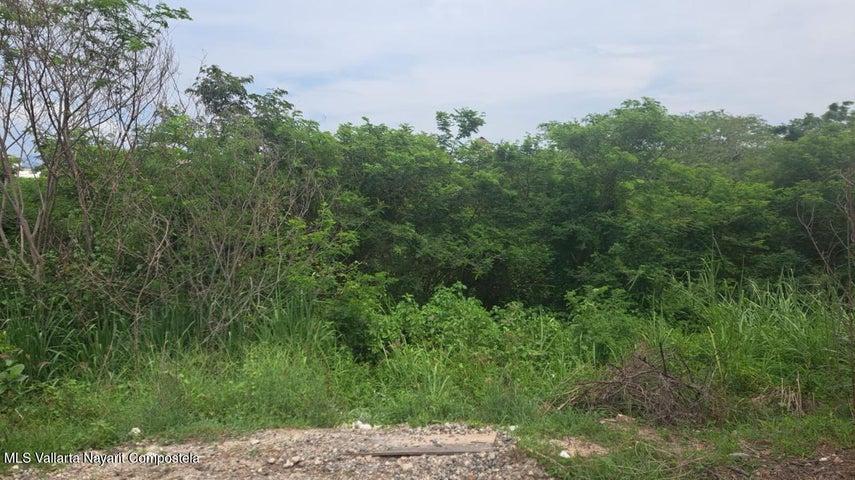 23 Del Puerto, LOTE FRACC COLINAS DE LA BAHIA — foto 3
