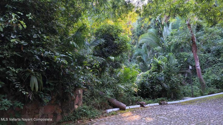 29 Carretera a Barra de Navidad, Lote 29 San Xoaquín — foto 2