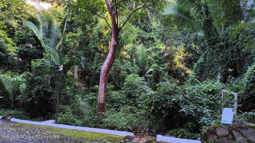 29 Carretera a Barra de Navidad, Lote 29 San Xoaquín — foto 3