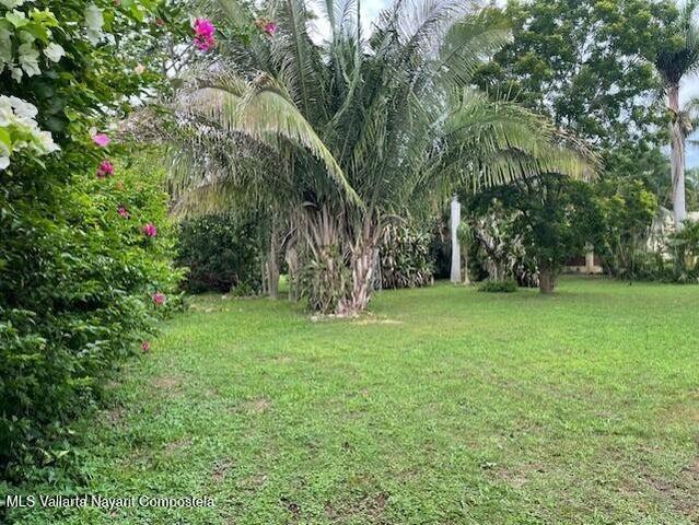 150B Colibri, Casa Maly — foto 3