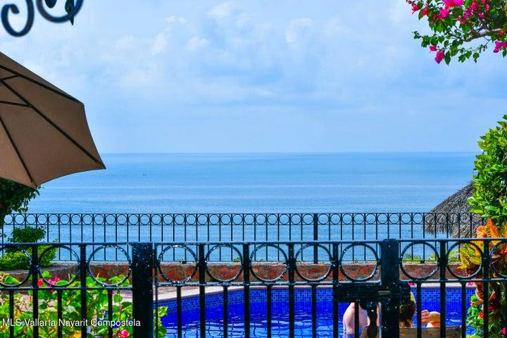 117 HORTENCIAS 100, 100 ESTRELLA DEL MAR — foto 3