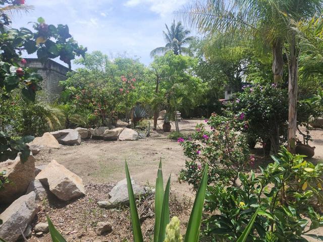 s/n Ricardo Flores Magon, Terreno — foto 2