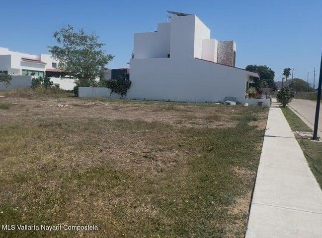 46 Paseo Del Palmar, LOTE FLAMINGOS — foto 3