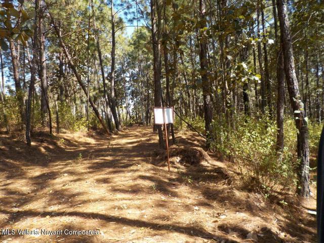 #9 Lote Navidad, Cumbre verde — foto 2