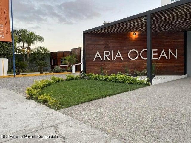478 Paseo de Los Cocoteros 317, Aria