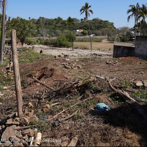 122 jacarandas, land in la peñita